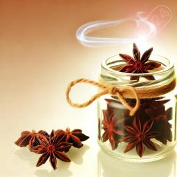 star anise image 2 3d33e med 